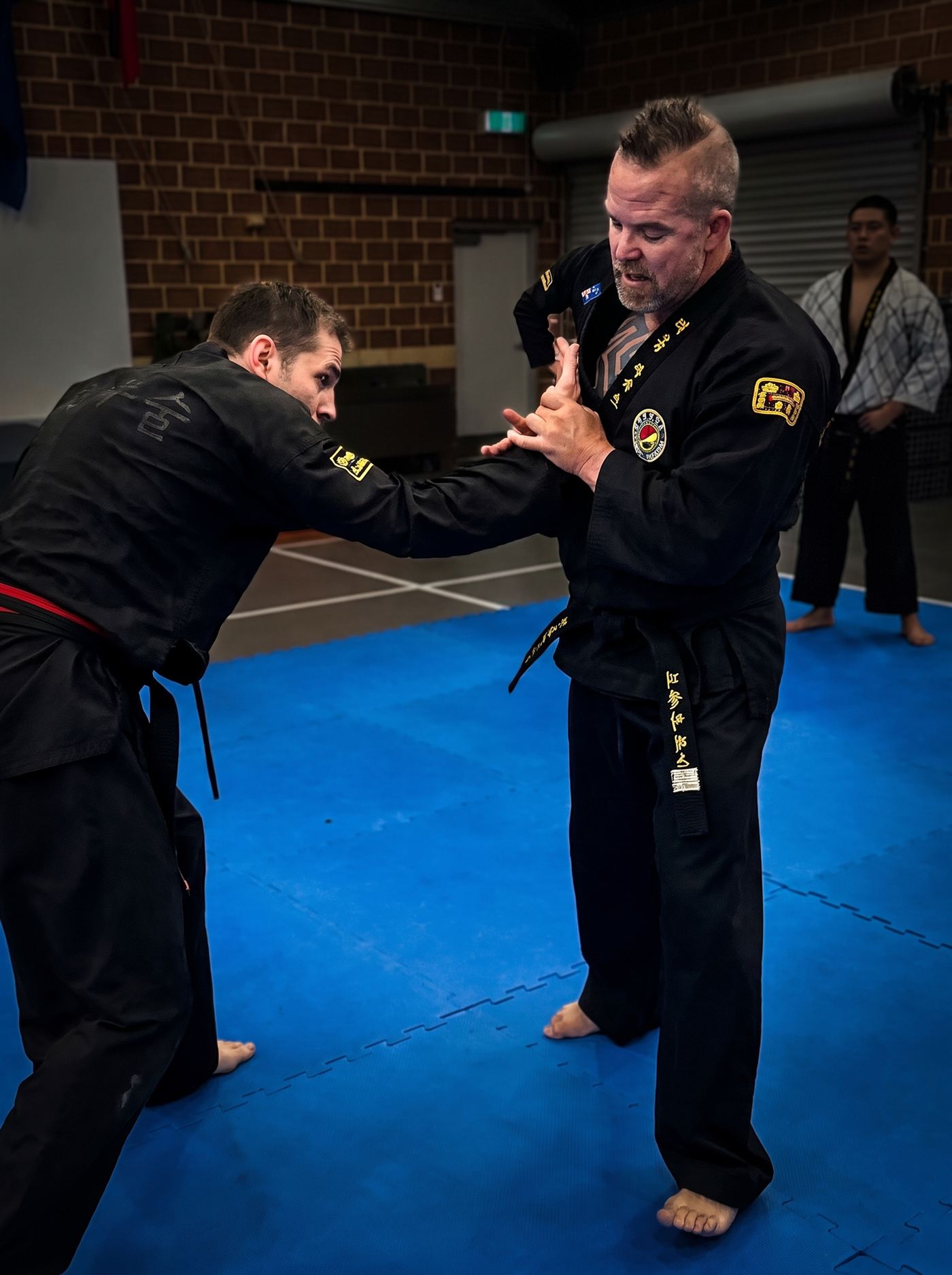 Hapkido Australia Foundations Seminar — fundamentals of Hapkido training